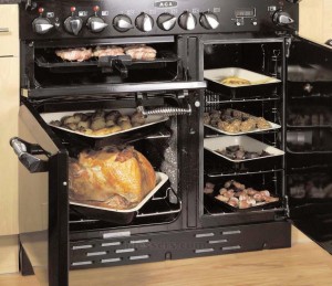Two ovens and a broiler; convection heat.